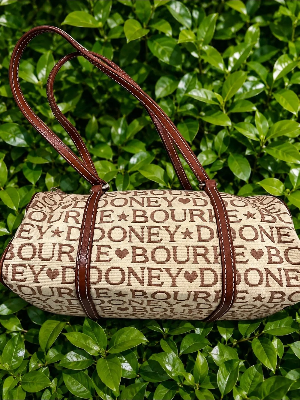 Dooney & Bourke stylish brown